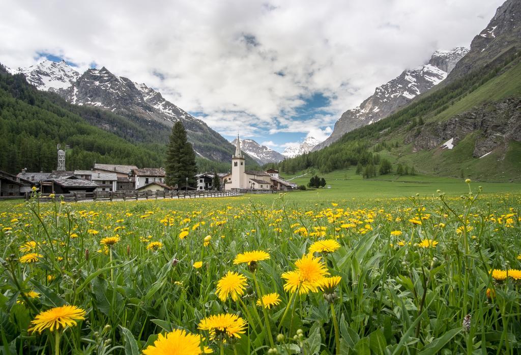 Case Gran Paradiso Rhemes Notre Dame المظهر الخارجي الصورة